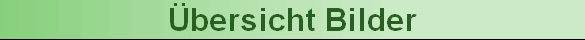 bersicht Bilder